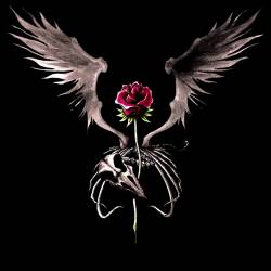 Crackmind : A Rose May Fly...